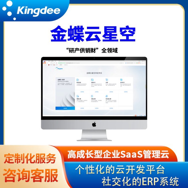 企业SaaS系统:让每一个角落都熠熠生辉